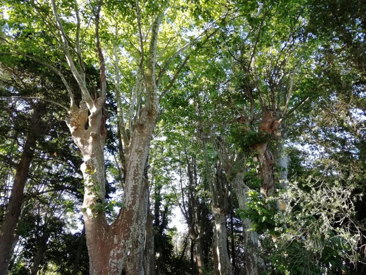 Domaine de la Vidalle Vendres Extérieur photo