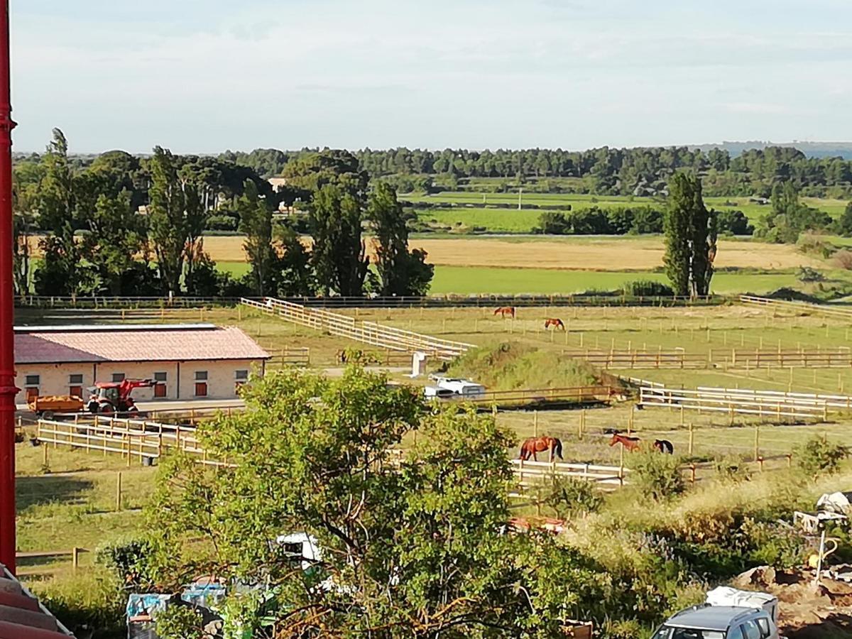 Domaine de la Vidalle Vendres Extérieur photo