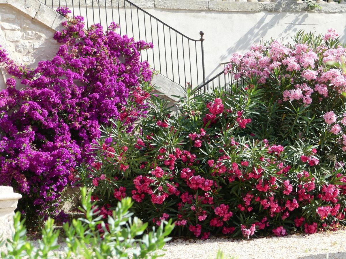 Domaine de la Vidalle Vendres Extérieur photo